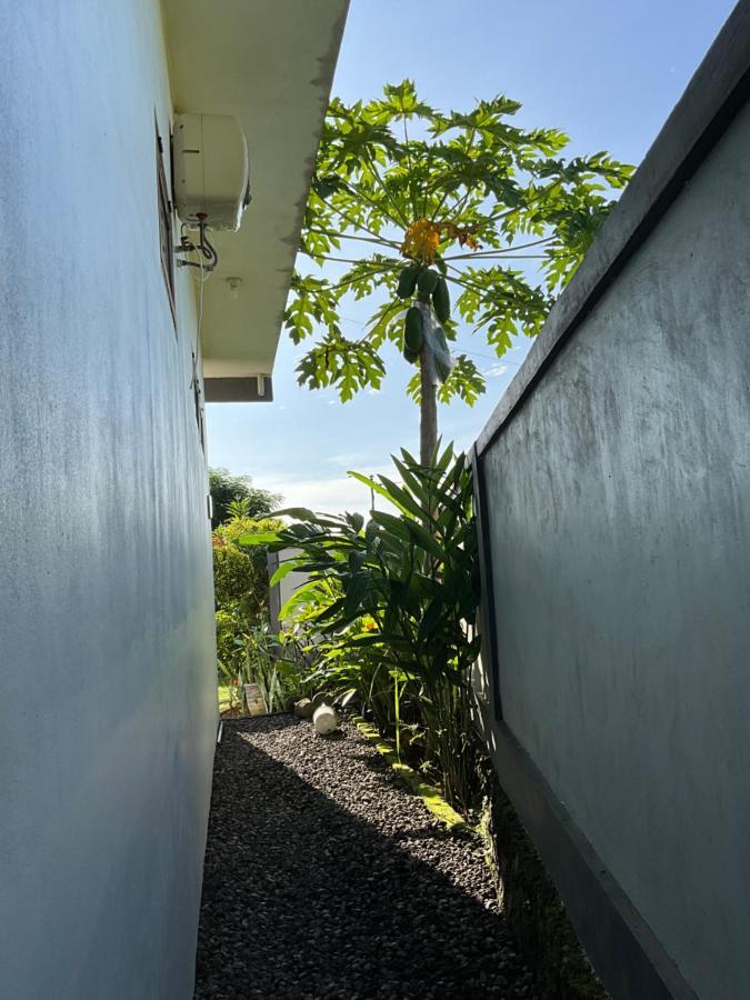 Villa Rosa East Bali Карангасем Экстерьер фото